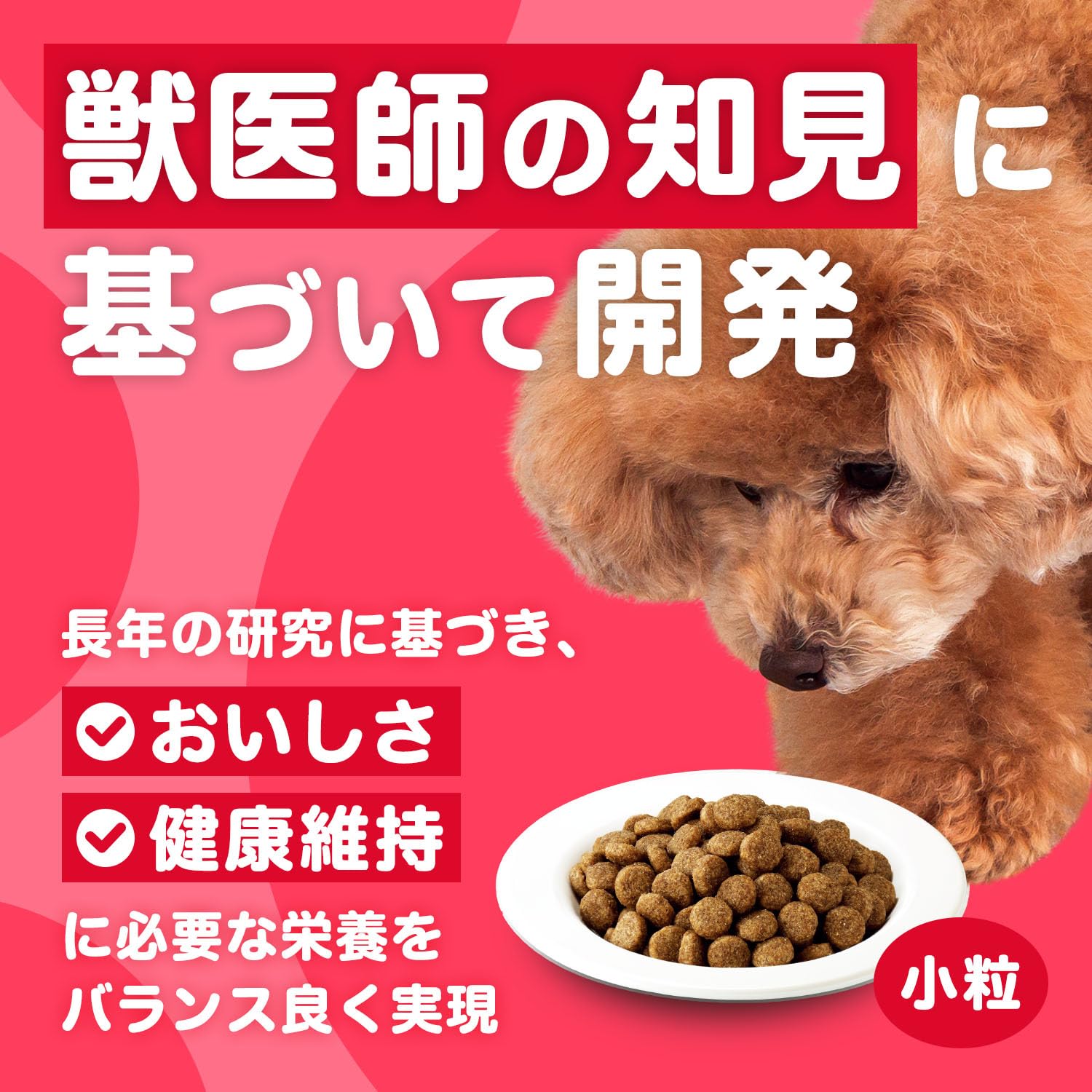 アイムス (IAMS) ドッグフード 成犬用 健康維持用 ラム&ライス